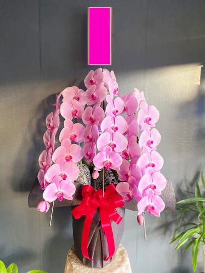 【周年祝い】 ピンク 3本立（ハイグレード）